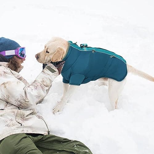 Katzinst Manteau Chien, Manteau imperméables pour Chien avec Pattes Réfléchissant Vetement Chien avec Protection Abdominale Vêtements pour Chiens d'hiver pour Grands Chiens, Labrador, XL