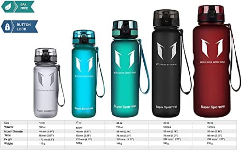 Super Sparrow Bouteille d'eau - Gourde - 500ml - sans BPA - Convient pour Le Sport, la randonnée, l'école, Le Bureau, en Plein air