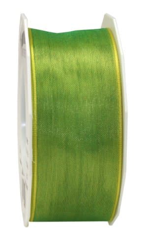 PRÄSENT C.E. Pattberg Ruban en Organza avec Fil de Fer Vert Citron/Jaune 40 mm x 25 m