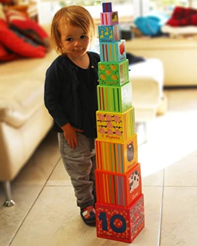 TOWO Cubes emboitables en Bois - Pyramide Cubes a empiler Bebe pour Apprendre à Compter - Lot de 10 Cubes éducatif -Montessori - Apprendre Les Animaux - Jouets en Bois éducatif pour Enfant 2 Ans