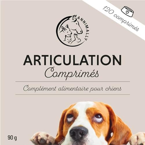 Complément Articulation pour Chien - Anti arthrose Chien Senior - avec glucosamine chondroïtine Chien - 120 comprimés pour Articulation Chien et - Anti inflammatoire Chien