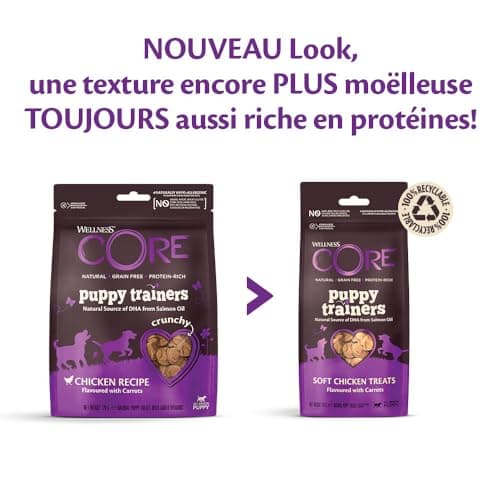 Wellness Core, Puppy Trainers, Friandises d'Apprentissage pour Chiot, Naturelles et Sans Céréales, Poulet/Carottes, sachet de 170 g