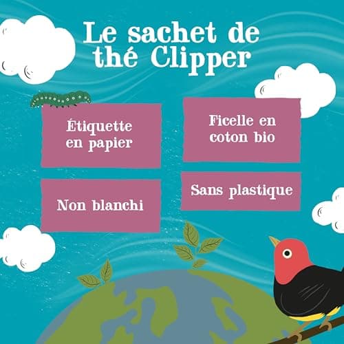 CLIPPER - Infusion Bio Détox - Saveur Fruits Rouges - 20 Sachets d'Infusion Bio - 1 paquet