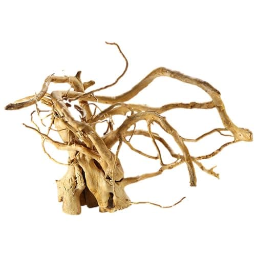 Fulenyi Plantes d'aquarium, Racine d'arbre en Bois flotté, décoration en Bois flotté, Branches en Bois Massif, décoration de Terrarium, Accessoires pour Petits Poissons