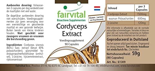 Fairvital | Cordyceps extrait 500mg Fortement dosé - 90 capsules - Cordyceps Sinensis - standardisé à 40% polysaccharides