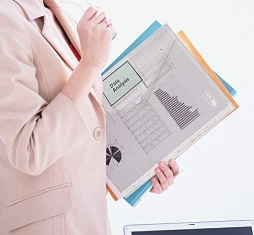 36x Pochette Porte-Document A4 - Poche Transparente Portefeuilles Dossiers de Fichiers pour l'organisation de Documents avec Porte Carte Pochette et Fermeture