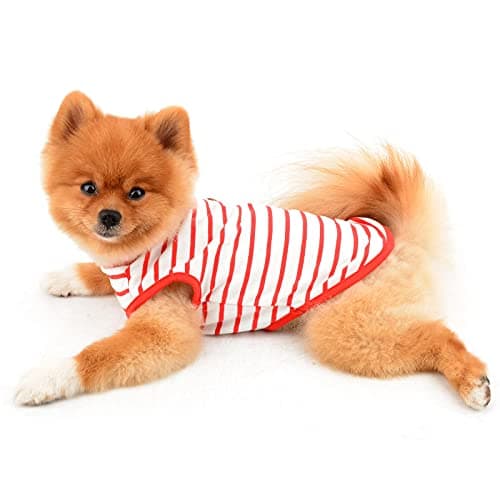 PAIDEFUL T-shirt en coton doux à rayures pour petit chien britannique pour animal de compagnie - T-shirt d'été pour chiot, chihuahua, yorkshire, yorkshire, débardeur respirant