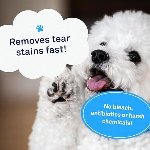 Petpost | Lingettes Anti-Taches de Larmes - 100 lingettes en Coton - Meilleur Traitement Naturel Anti-croûtes pour Yeux pour Fourrure Blanche-sans Produits Chimiques et sans Javel - 100 CT.