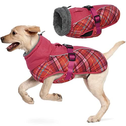 Manteau d'hiver pour Chien, Veste ImperméAble pour Chien, Veste d'hiver Chaude avec Doublure en Polaire, Manteau RéFlecteur Ajustable Et Confortable avec Trou pour Harnais pour Petits Et Moyens Chien