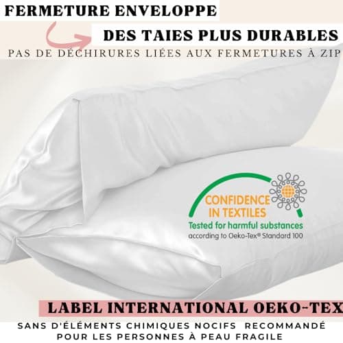 Taie d'oreiller 100% Soie Naturelle de mûrier 22 Momme Qualité supérieure Grade 6A sans Produit Chimique,Bio- Peau Sensible,Cheveux Afro,Bouclés,Gras,Antichute Cadeau (Rose, 40x60cm)