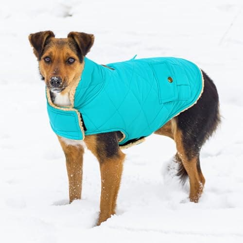 CITÉTOILE Manteau de Chien Coupe - Vent, Manteau Chien Fourré Polaire Epaiss, Manteau Veste d’Hiver Chien Chaud, Vêtement pour Chiens avec Trou de Corde de Traction, Bleu Clair, XS