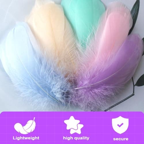 Zeayebsr 100 PCS de Plumes pour L'artisanat,Plumes Loisirs creatifs, Plumes Loisirs creatifs,Plume Decoration,Idéales pour la Décoration de Mariage, Les Arts et L'artisanat pour Les Enfants,Plume