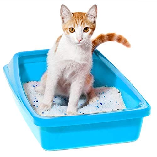 Nobleza Litière pour Chats Silice Gel 30.4L - Litière pour Chat Haut de Gamme avec Contrôle Supérieur des Odeurs et Absorption Efficace des Liquides