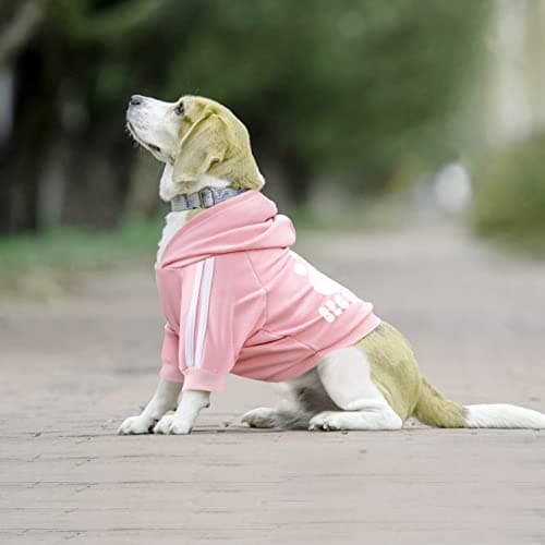 Dolahovy Chien À Capuche Vêtements pour animaux de compagnie Pulls pour chiens d'automne et d'hiver Déguisements de chiot Chien chandail Gilet pour petits chiens moyens chats Chihuahua Teddy (M, Rose)