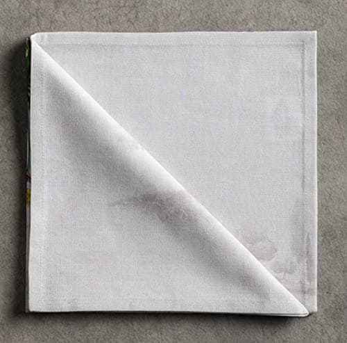 Maison d' Hermine Basse Cour Lot de 4 Serviettes Douces et douillettes 100% Coton Parfait pour Les dîners de Famille, Les Mariages, Les Cocktails, la Cuisine, Le Printemps/été (45cm x 45cm)
