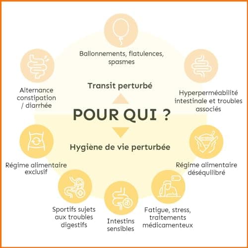 PERMEA FLORE | Probiotiques et Glutamine | Flore Intestinale et Cicatrisation de la Muqueuse | Idéal Contre la Perméabilité Intestinale | 60 Gélules Gastro-résistantes | Made in France | Terravita