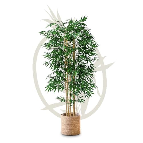 Maia Shop | Bambou Artificiel | Plantes Artificielles Interieur | Plante Artificielle | Mesures: 180 x 80 cm | Plante Artificielle Grande | Arbre Artificiel | Décoration