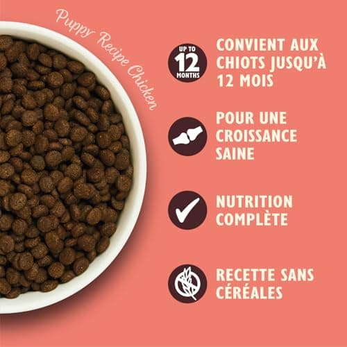 Adulte 8+ Salmon Scottish & Trout Gluten Nourriture sèche pour Chiens Gratuit 1 kg