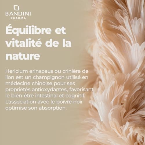Bandini® Crinière de Lion 2000 mg | 365 Comprimés Vegan 1 An (1 comprimé par jour) | Extrait 25:1 de Lion's Mane Mushroom avec Poivre Noir | 50% polyphénols | Champignon Hericium Erinaceus 100% Vegan