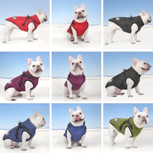 Manteau d'hiver Imperméable pour Chien Chaud avec Harnais, Veste de Chien Imperméable pour Petit Moyen Grands Chiens, Conception de Bandes Réfléchissantes lavables en Machine Anneau en D Durable