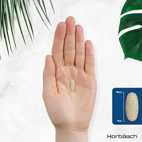 Retention D'Eau Drainant Puissant | 120 Comprimés Vegan | Electrolyte Complex Avec Magnésium Thé Vert et Fucus | Water Balance Supplements | par Horbaach