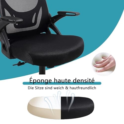 Flysky Chaise de Bureau, Chaise de Bureau Ergonomique, Chaise d'ordinateur réglable en Hauteur avec Support Lombaire et accoudoirs rabattables, Chaise de Direction pivotante, Noir