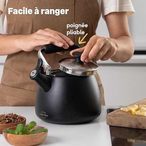 SILBERTHAL Bouilloire à induction 2,8l - Bouilloire en acier inoxydable - Bouilloire pour le camping - Bouilloire à flûte noire - Bouilloire sifflet Nouvelle version 2024