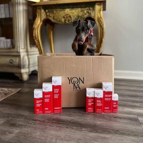 Yonka For Men Age Defense Hydratant 40ml - Crème Visage Anti-Âge Quotidienne pour Peau Sèche et Mature - Ultra Hydratante, Prévient les Rides, Antipollution, Antioxydante - Origine Naturelle
