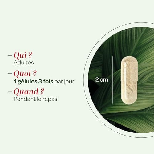 SUPERDIET - MARRONNIER D'INDE BIO - Circulation - Phytothérapie - Fabrication française - 120 gélules