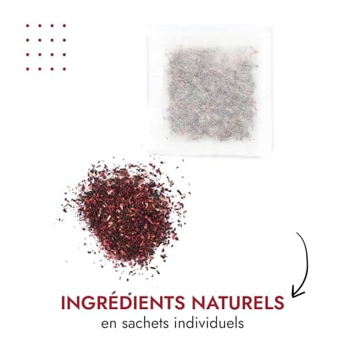 Thé Hibiscus d'Alpi Nature, 120 Sachets de Thé à l'Hibiscus, 120g (6 Boîtes de 20 Sachets de Thé de 1g), Fleurs d'Hibiscus Séchées pour Préparer des Tisanes et du The Hibiscus, Hibiscus Seche