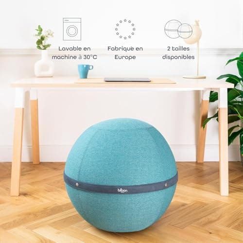 Bloon Siège Ballon Bureau Ergonomique - Anti Mal de Dos ou Sciatique - Confortable pour Bureau ou Télétravail - Chaise Ballon 65cm de diamètre (Taupe, XL)