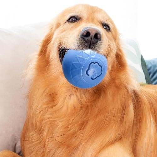 Balle pour chien – Jouet interactif coloré pour chien, jouet interactif pour chien, balle pour chien, balles de tennis pour chiens, extérieur, maison, grand chien