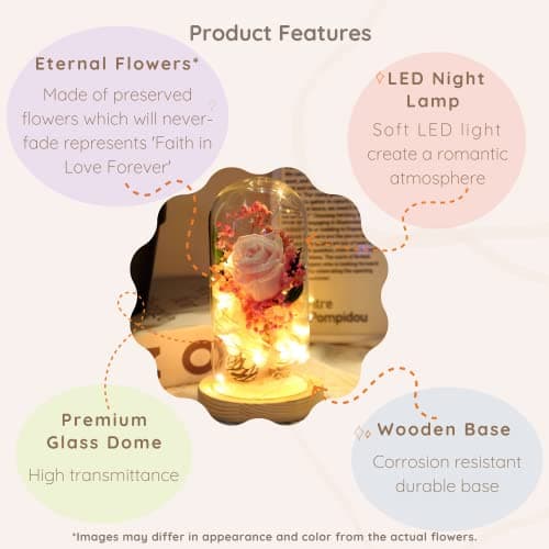Saint Valentin Rose Eternelle sous Cloche, La Belle et la Bête Rose, Dôme en Verre Rose éternelle avec lumière LED et Base, Mariage Maison Décor, Cadeau Pour Femme, Amie, Anniversaire, Fête des mères