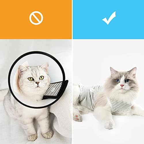 Dotoner Combinaison de Convalescence Professionnelle pour Chat - Chemise de Convalescence chirurgicale pour plaies Abdominales, Bandages, collerette vétérinaire (M, Gris)