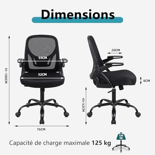 Flysky Chaise de Bureau, Chaise de Bureau Ergonomique, Chaise d'ordinateur réglable en Hauteur avec Support Lombaire et accoudoirs rabattables, Chaise de Direction pivotante, Noir