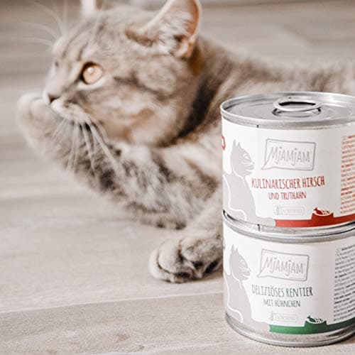 MjAMjAM - nourriture humide premium pour chats - gibier culinaire et dinde aux canneberges fraîches, paquet de 6 (6 x 800 g), sans céréales avec de la viande supplémentaire