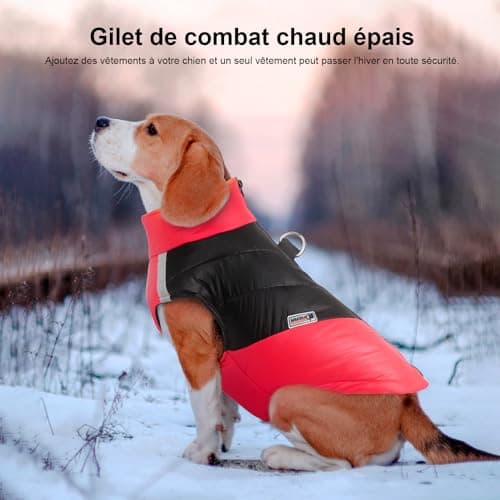 Manteau d'hiver pour Chien pour Veste Chaud des Chiens pour Chien Pet Chiot vêtements Imperméables Assortis Tailles et Couleur (S, B-Rouge)