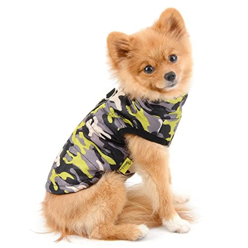 PAIDEFUL Manteau rembourré imperméable pour petit chien avec anneau en D pour chihuahua Yorkshire