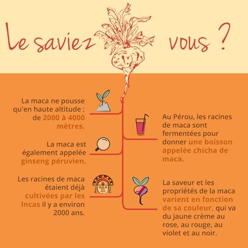 MACA BIO du Pérou 3000mg Vegavero® | 120 Gélules | UNIQUE : 4 Racines de Maca - Noire, Rouge, Jaune, Violette | Sans Additifs | Énergie + Libido + Adaptogene | VEGAN