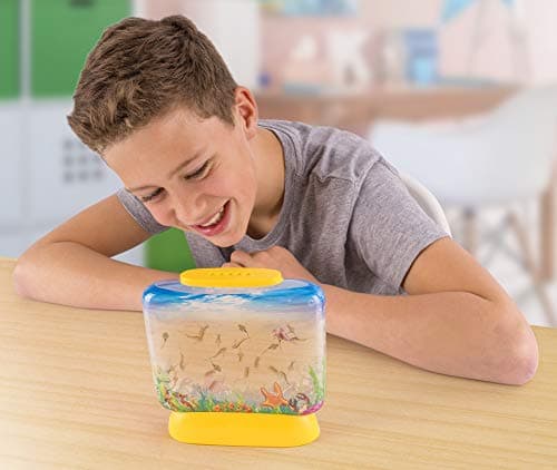 Aqua Dragons Sea Friends Colour Adventure,Jouet éducatif STEM, Aquarium Set, Grow Easy Pet for Kids,Comprend un réservoir, de nourriture, des œufs, une cuillère pour nourrir l'animal,Couleur surprise