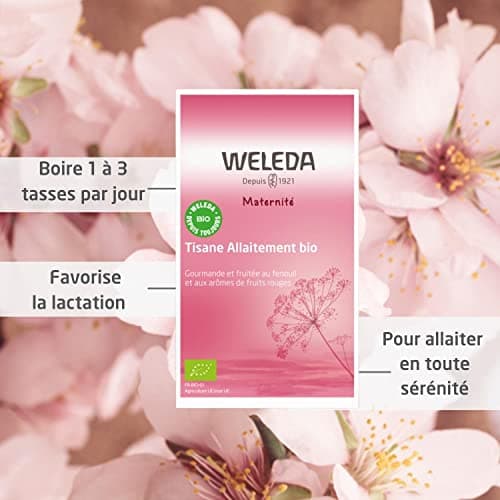 WELEDA - Tisane Allaitement Bio Fruits Rouges - Favorise la lactation - 20 Sachets de 2 g