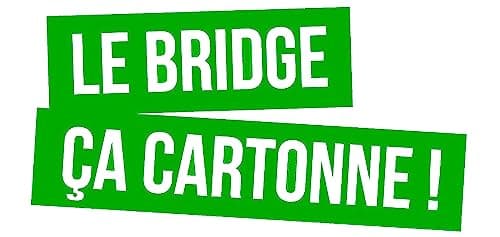 BRIDGE - Découverte 2025 sur clé USB OR (Windows 7, 8, 10, 11)