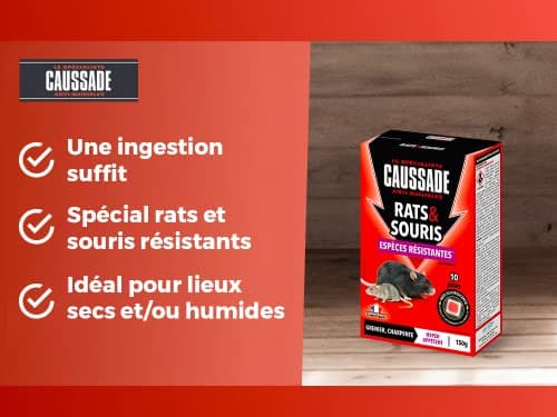 Caussade Anti Rats & Souris 150 g - Efficacité Radicale - Spécial Rats et Souris Résistants - 10 Pâtes Fluorescentes - Prêt à l'emploi - Hyper Appétent - Lieux secs et humides - Habitation, cuisine
