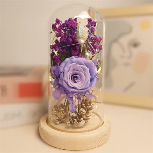 Saint Valentin Rose Eternelle sous Cloche, La Belle et la Bête Rose, Dôme en Verre Rose éternelle avec lumière LED et Base, Mariage Maison Décor, Cadeau Pour Femme, Amie, Anniversaire, Fête des mères
