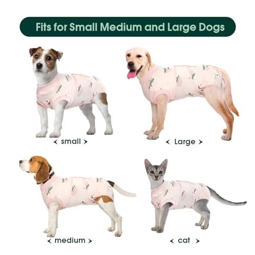 Kuoser Combinaison de convalescence chirurgicale pour chien femelle, mâle, réglable, post-chirurgie, taille XL