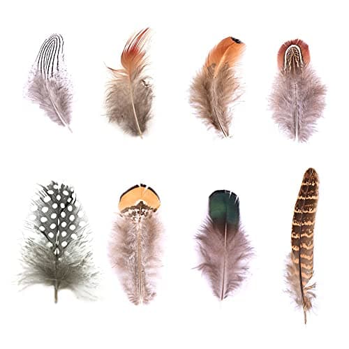 Dtoterul Plume Artificielle 220 Pièces Plumes de Faisan Plumes Artisanales Plumes De Bricolage Plumes Artisanat Plumes Plumes de Poulet Multicolores Marron Plumes Feathers pour Artisanat