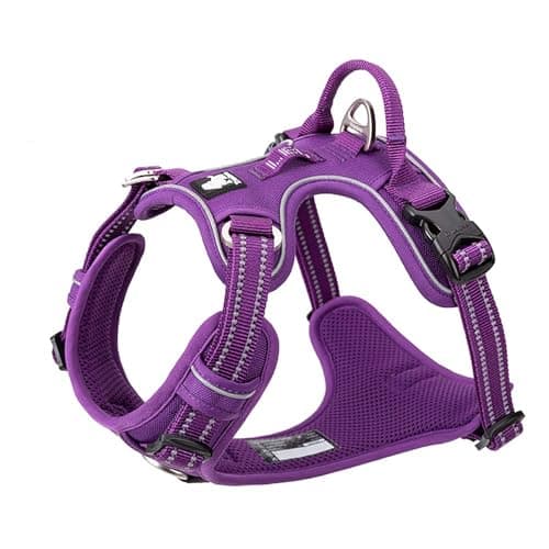 TRUE LOVE Harnais pour Chien No Pull Nylon Souple Réfléchissant Réglable pour Petit Grand Animal Domestique TLH56512(XL, Violet)