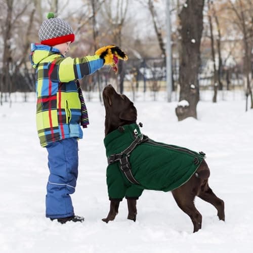 CITÉTOILE Manteau Chaud pour Chien, Veste Coupe-Vent pour Chien par Temps Froid, vêtement d'hiver pour Chien avec Fermetures éclair et Poignets Amples, Verte, XS