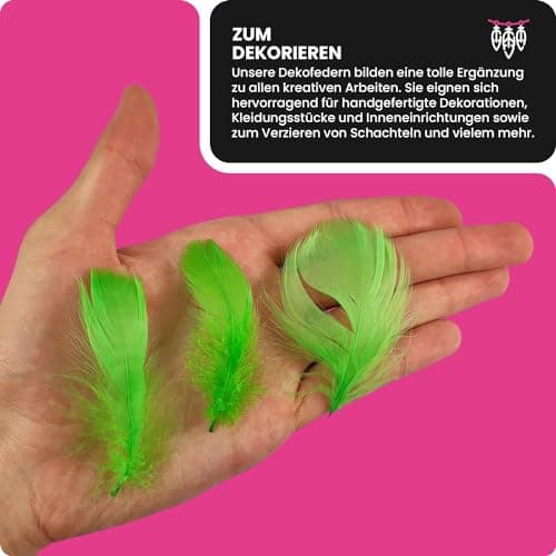 Netuno 150 Plumes décoratives Vertes 10g Plumes duveteuses décoratives Plumes d'oiseaux Plumes Naturelles pour Loisirs créatifs DIY Bricolage décorations de fêtes Attrape-rêves Fabrication de Masques