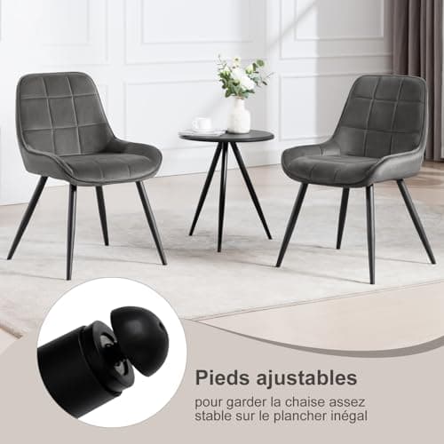 WOLTU Lot de 6 Chaises Scandinaves Ergonomiques de Salle à Manger, Chaises Relaxantes en Velours, avec Dossier pour Salon, Salle de séjour, Cuisine, Chambre à Coucher,Gris foncé, BH331dgr-6